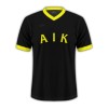 Maillot de Supporter AIK Stockholm Anniversaire 2024-25 Pour Homme